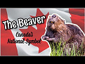 vx3b-canada.jpg