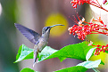 fy-py8ww-french-guiana.jpg
