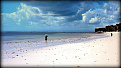 5h1kb-zanzibar.jpg