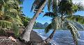 tx14tom-tahiti.jpg