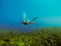 6ydh5fs-jamaica.jpg