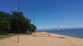 7q7ei-malawi-ant.jpg