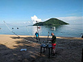 7q7ei-sunrise-ant.jpg