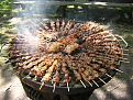 Ham Fest barbecue