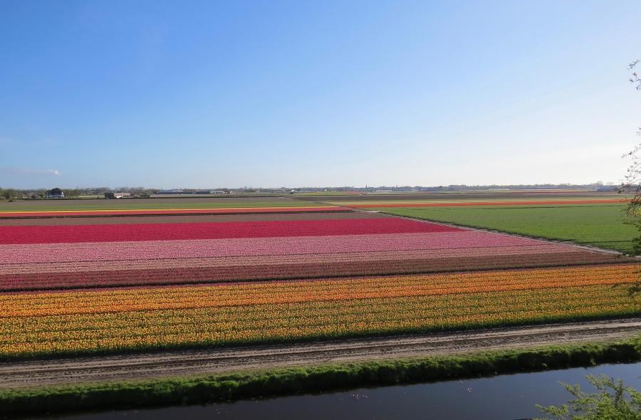 PA/F1GFK Flowerfield, Lisse, Netherlands.