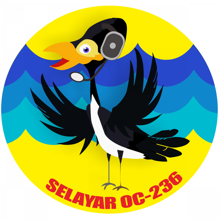 YB3MM/8 Selayar Island Logo