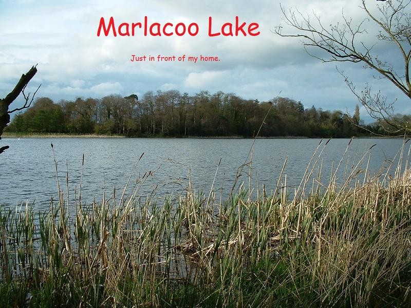 MR0SAI Marcaloo Lake, Portadown, Northern Ireland.