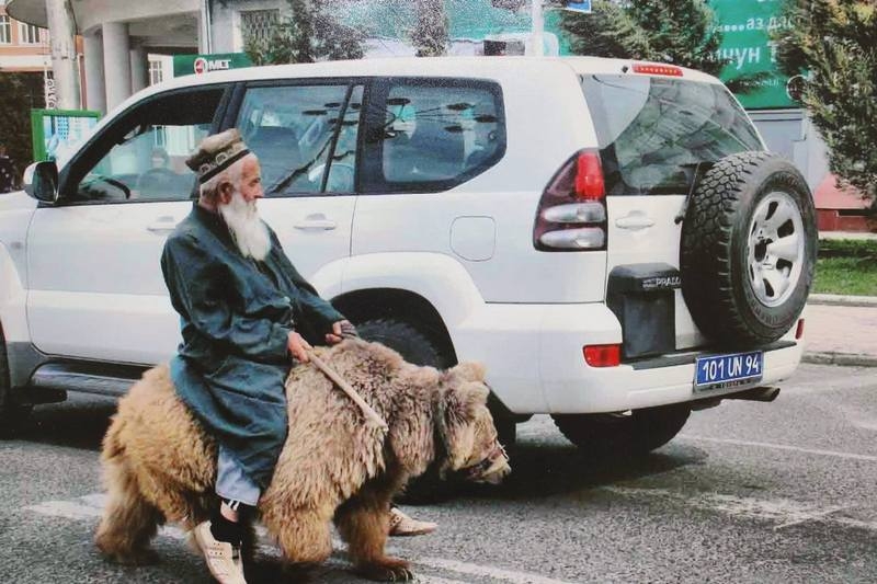 Bear and UN Car Dushanbe Tajikistan