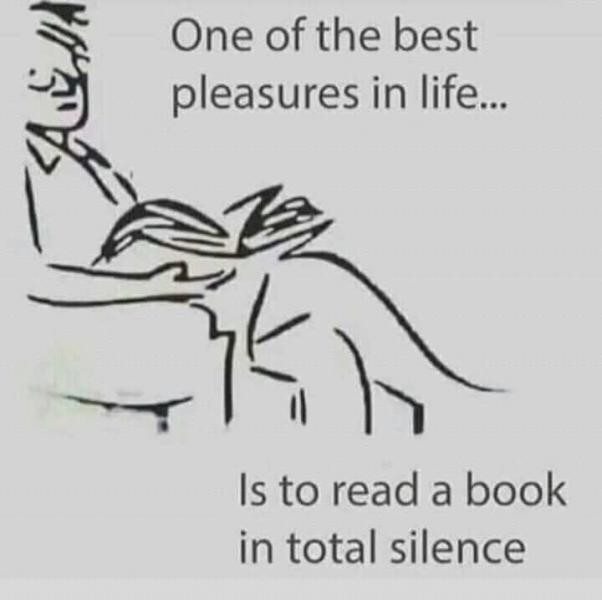One of the best pleasure in life is to read book in total silence