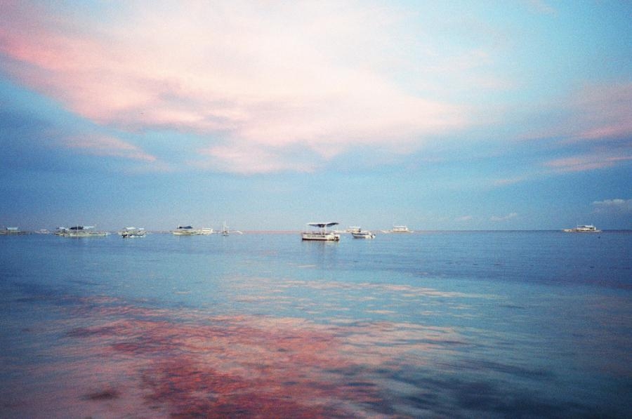 DU7N Bohol island,Visayan Islands, Philippines