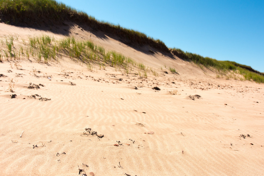 CY0/WA4DAN Sable Island