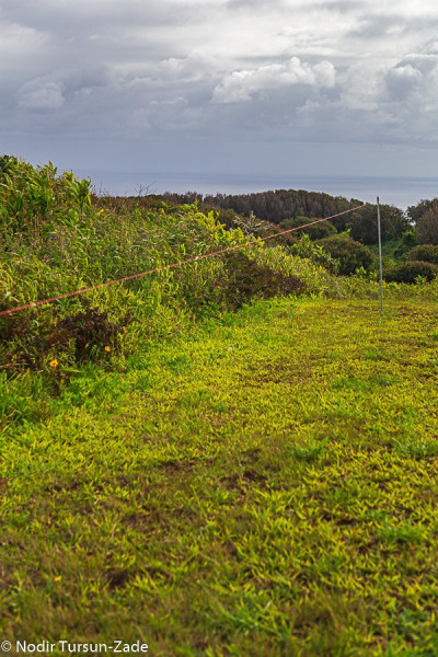 VP6R Pitcairn Island 22 October 2019 Image 12