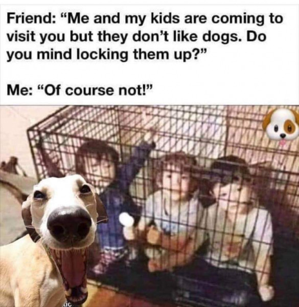 Dog and kids