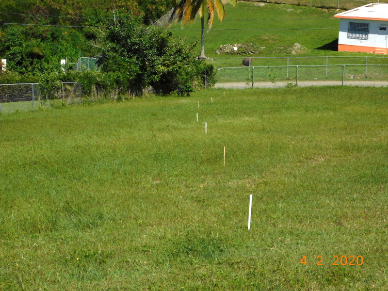 KP4/AA7CH Vieques Island Beverage antenna Image 2