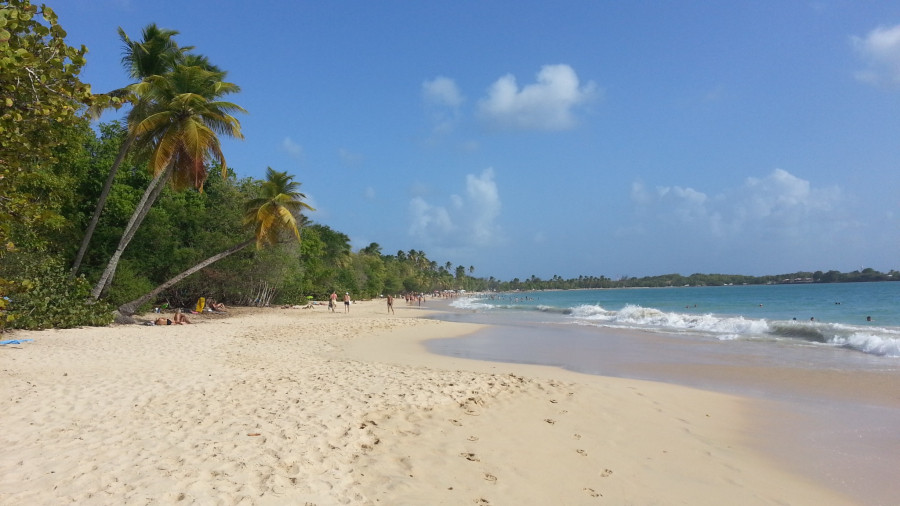 FM/VE3DZ Grande Anse des Salines, Martinique. 12 February 2020 Image 2