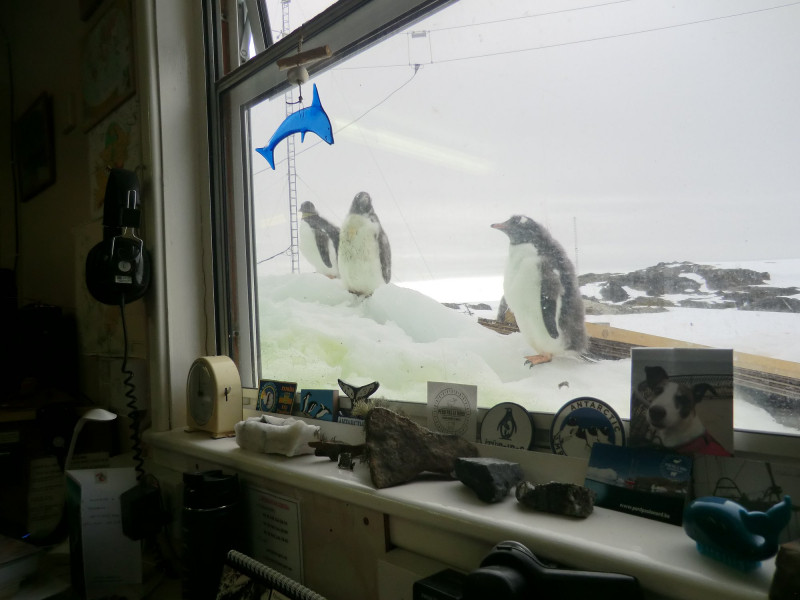 EM1UA EM1U Vernadsky Station, Galindez Island, Biscoe Islands, Antarctica Image 4