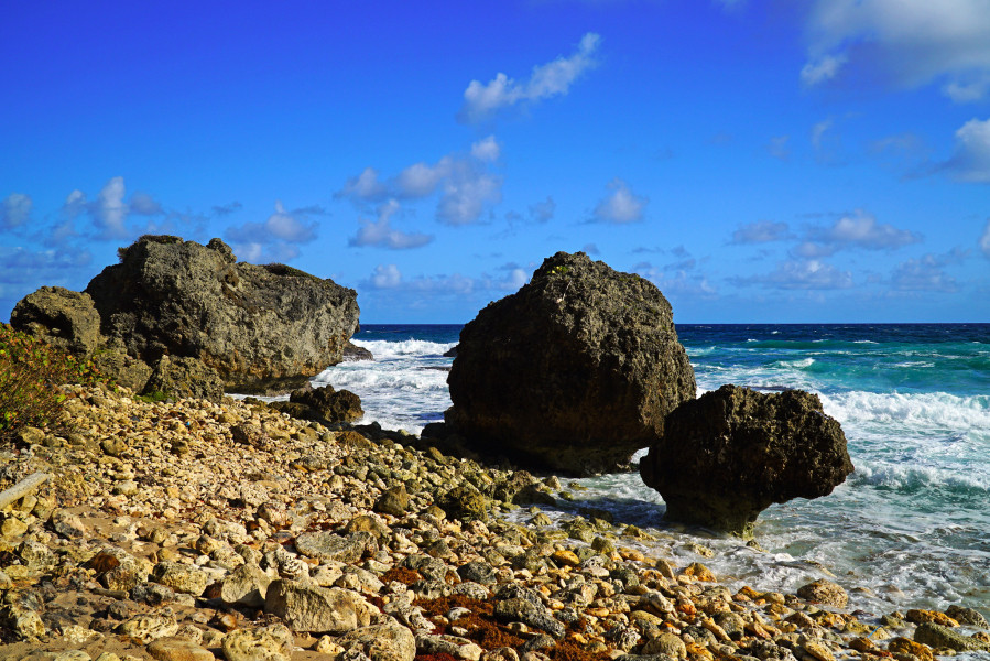8P4JB Fancy rocks on Bathsheba beach, Barbados 8P4JB Fancy rocks on Bathsheba beach, Barbados.