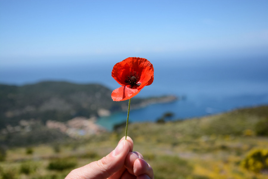 IA5MO Giglio Island, Italy