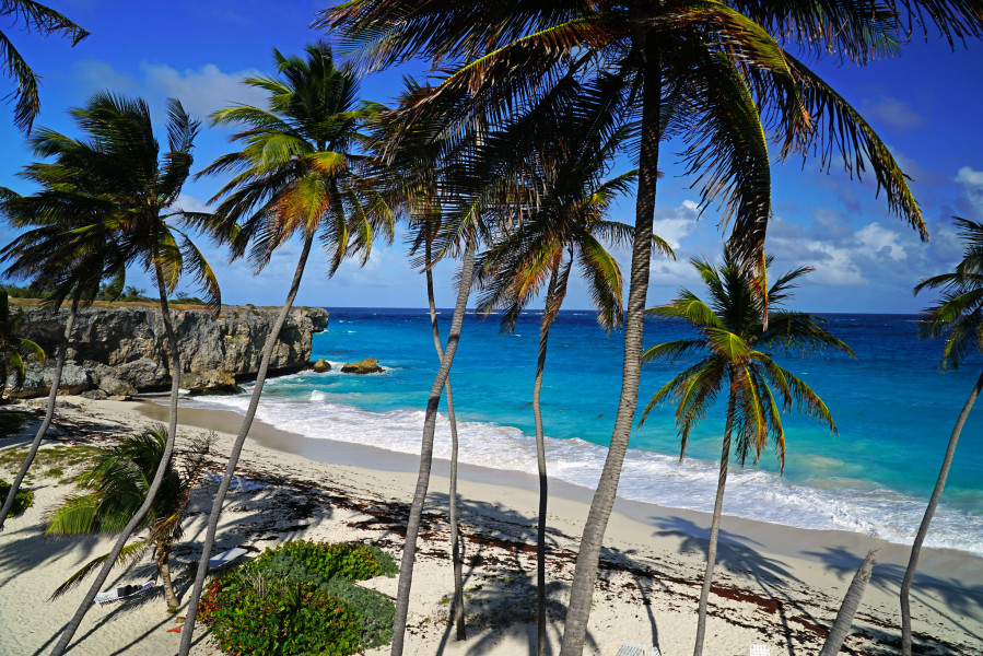 8P6AW Beach paradise of Bottom Bay, Barbados