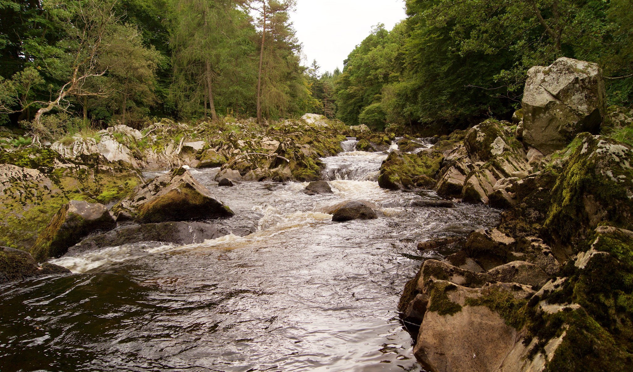 GM5G River Feught, Banchory, Scotland