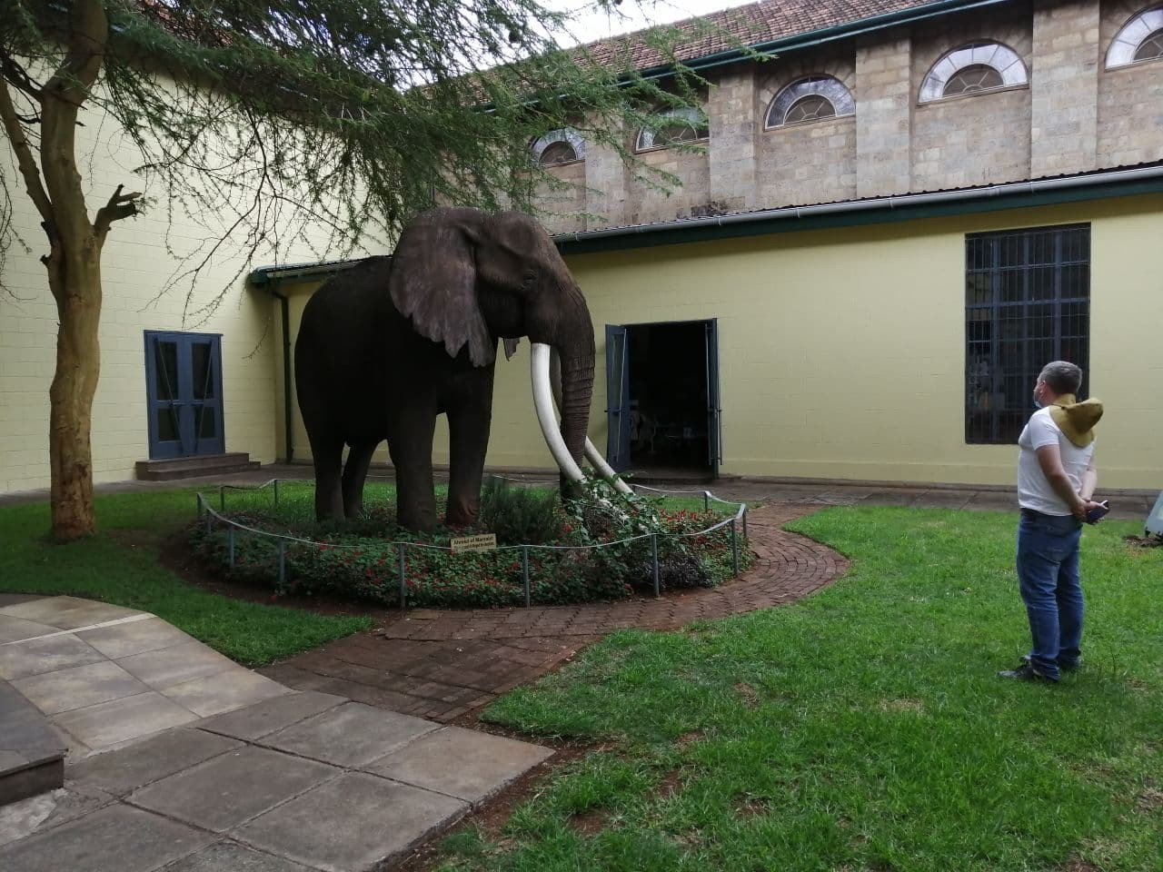 7Q7RU National Museum Nairobi, Kenya Image 14