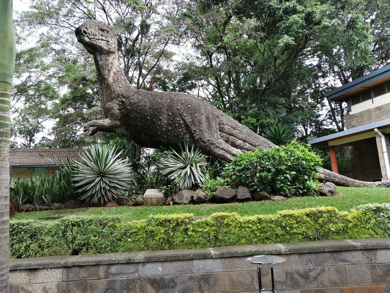 7Q7RU National Museum, Nairobi, Kenya 8 November 2020 Image 20