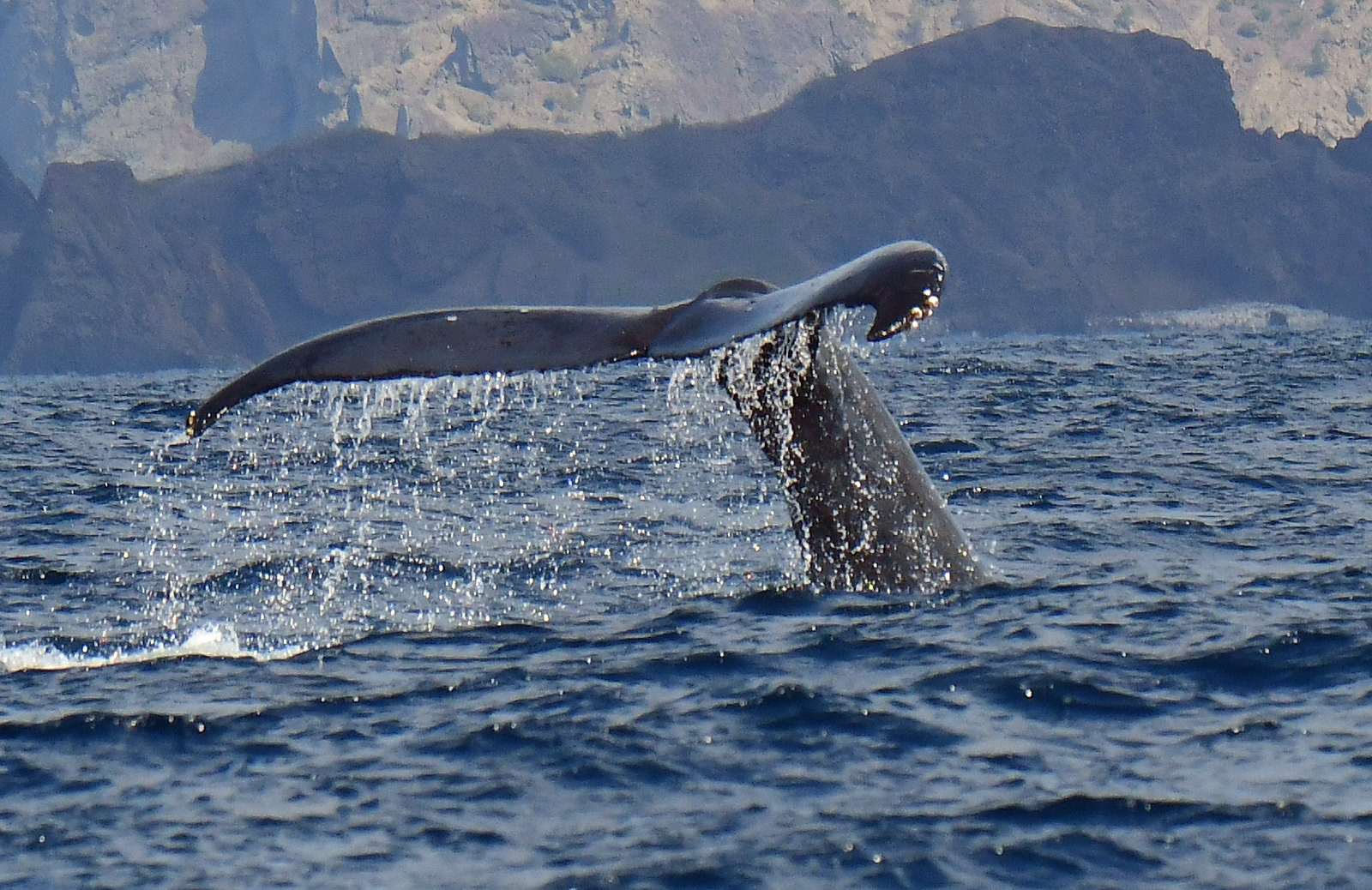 JD1BQI Chichi-jima Island, Ogasawara Bonin Islands