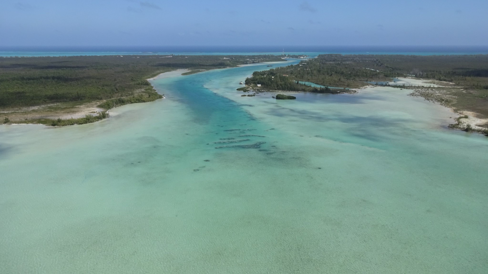 C6ABM Andros Island, The Bahamas