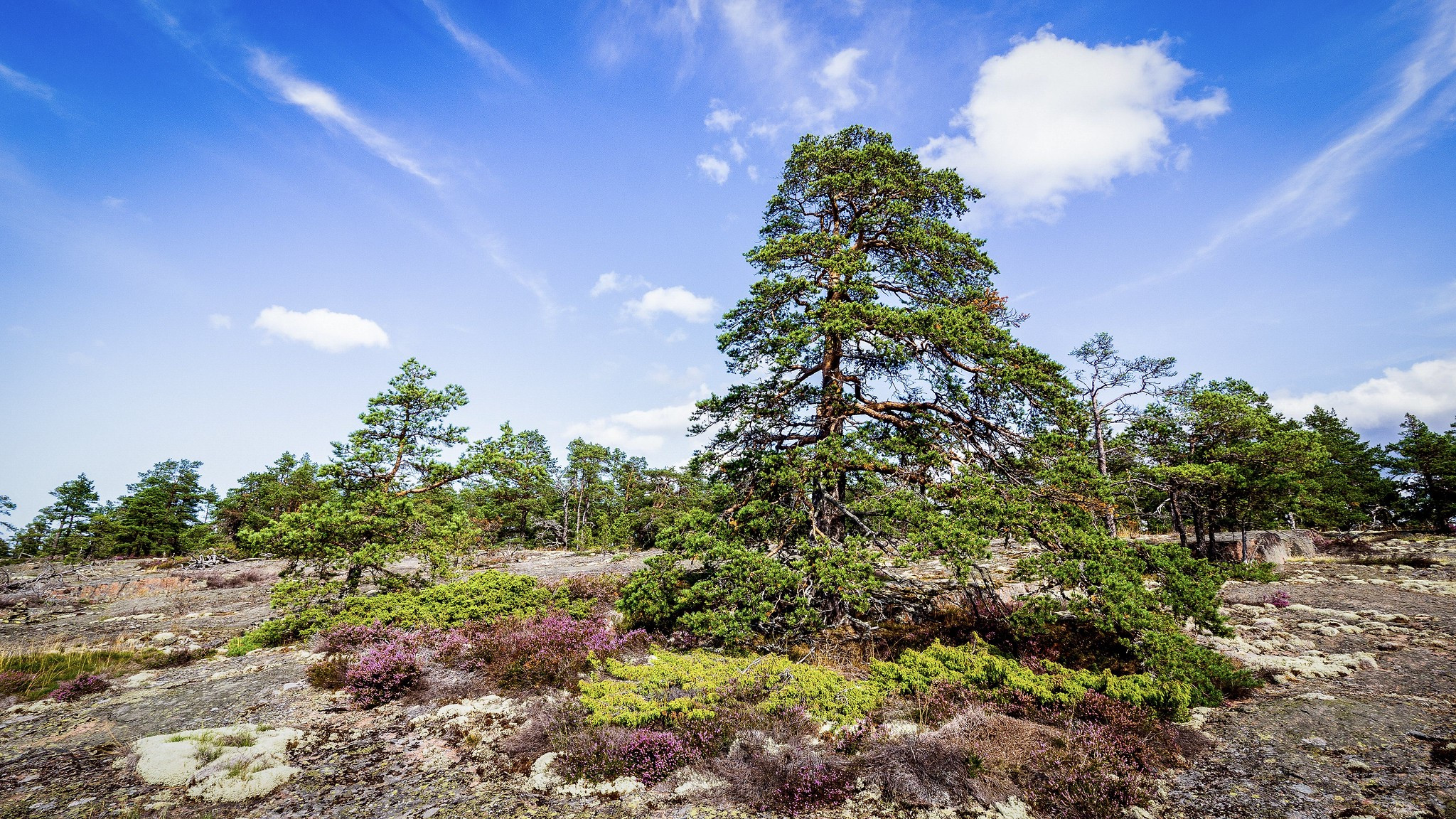 OH0/SP1F Aland Islands OH0/SP1F Aland Islands