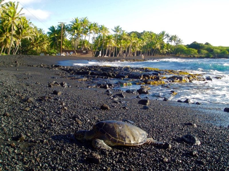 AH6AA Punaluu Black Sand Beach, Hawaii