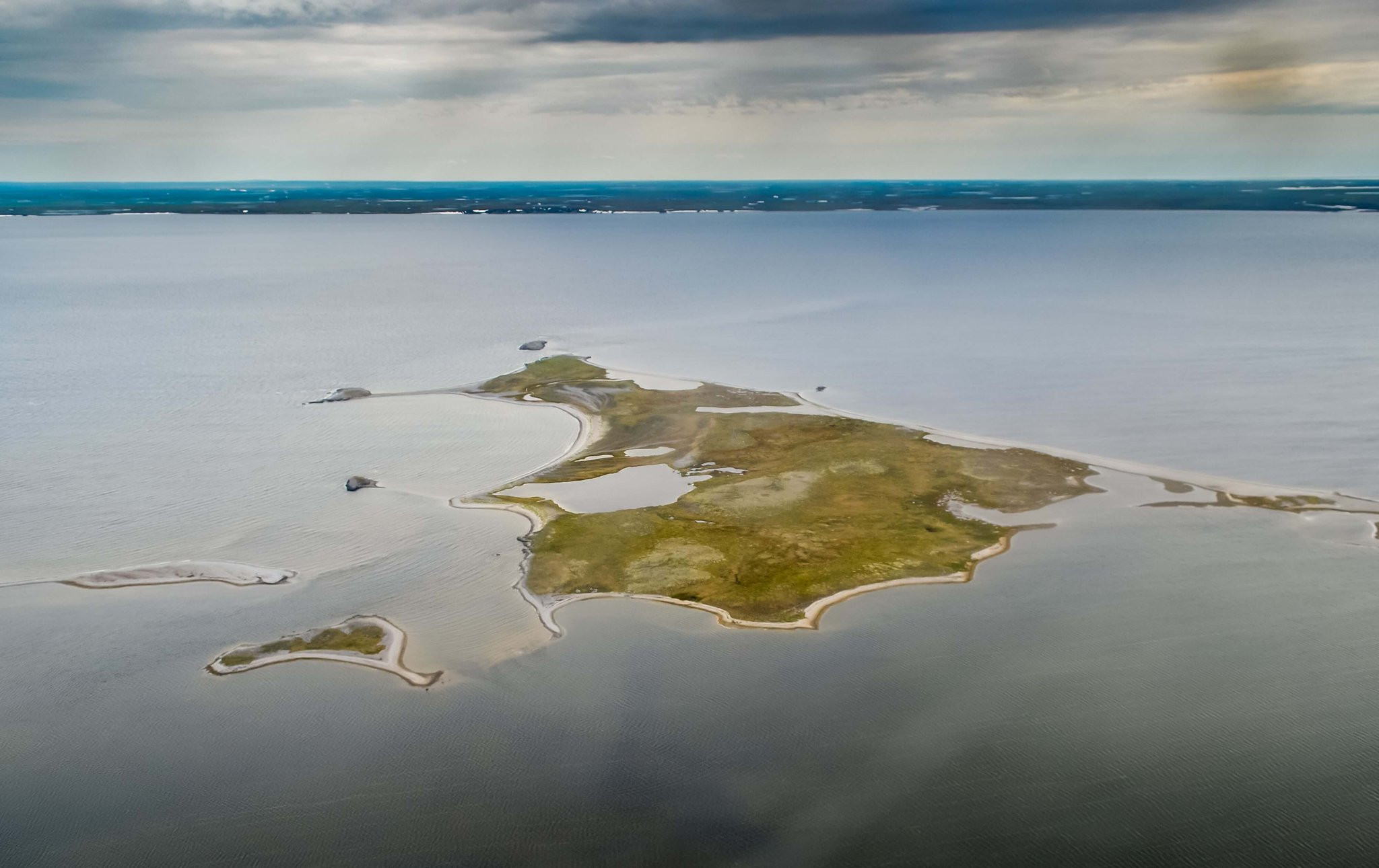 RI1PA Kolguev Island