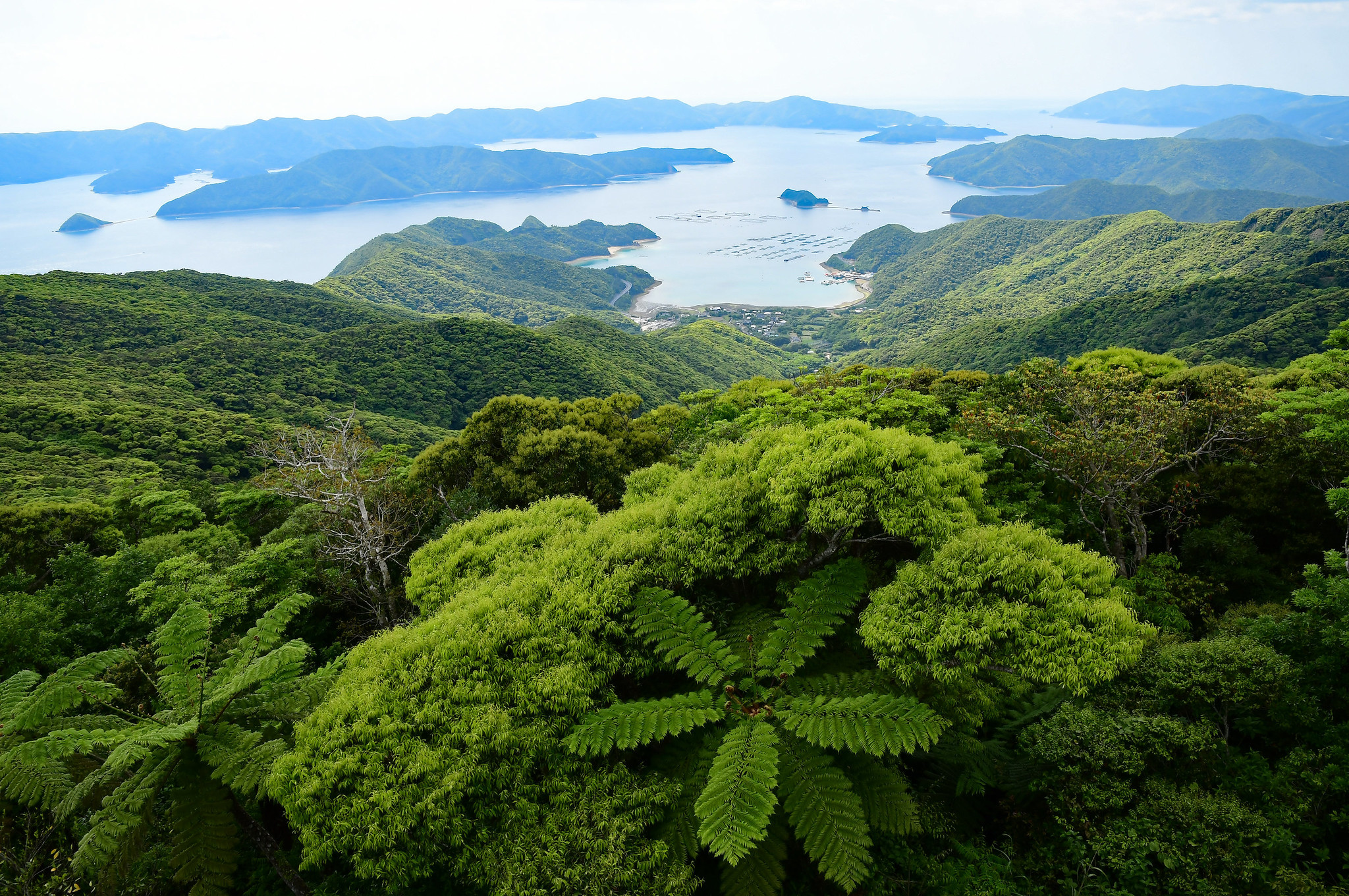 JE1HXZ/6 Kakeroma Island, Amami Islands, Japan