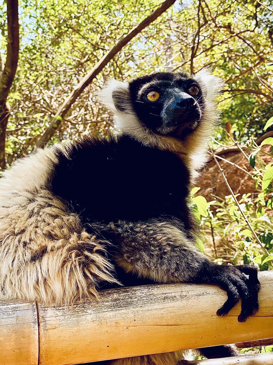 5R8AS - Ivato - Madagascar