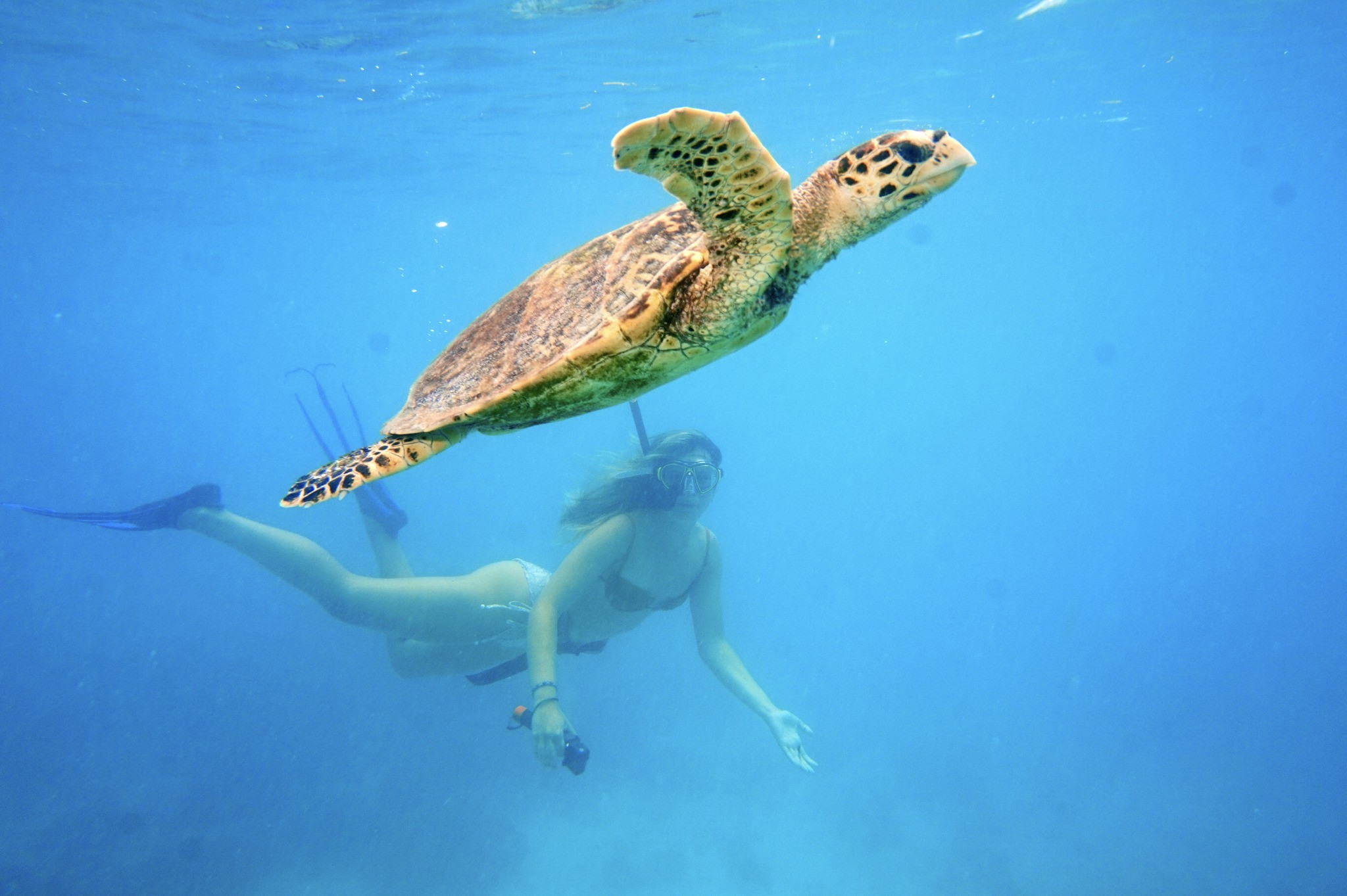 D4NA Sal Island, Cabo Verde