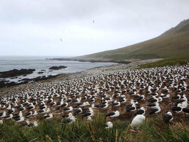 VP8AWU Falkland Islands
