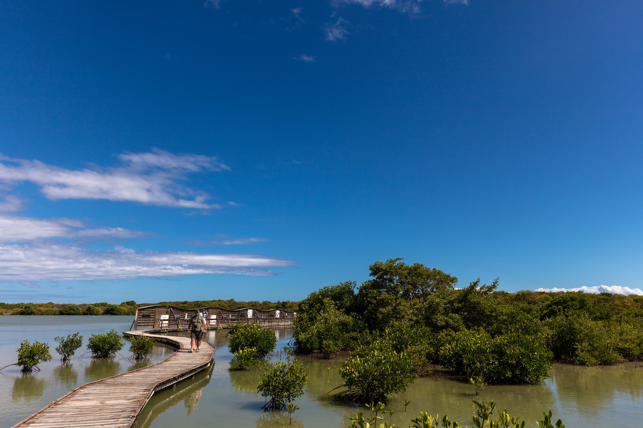 FM/DF2FA Martinique Island