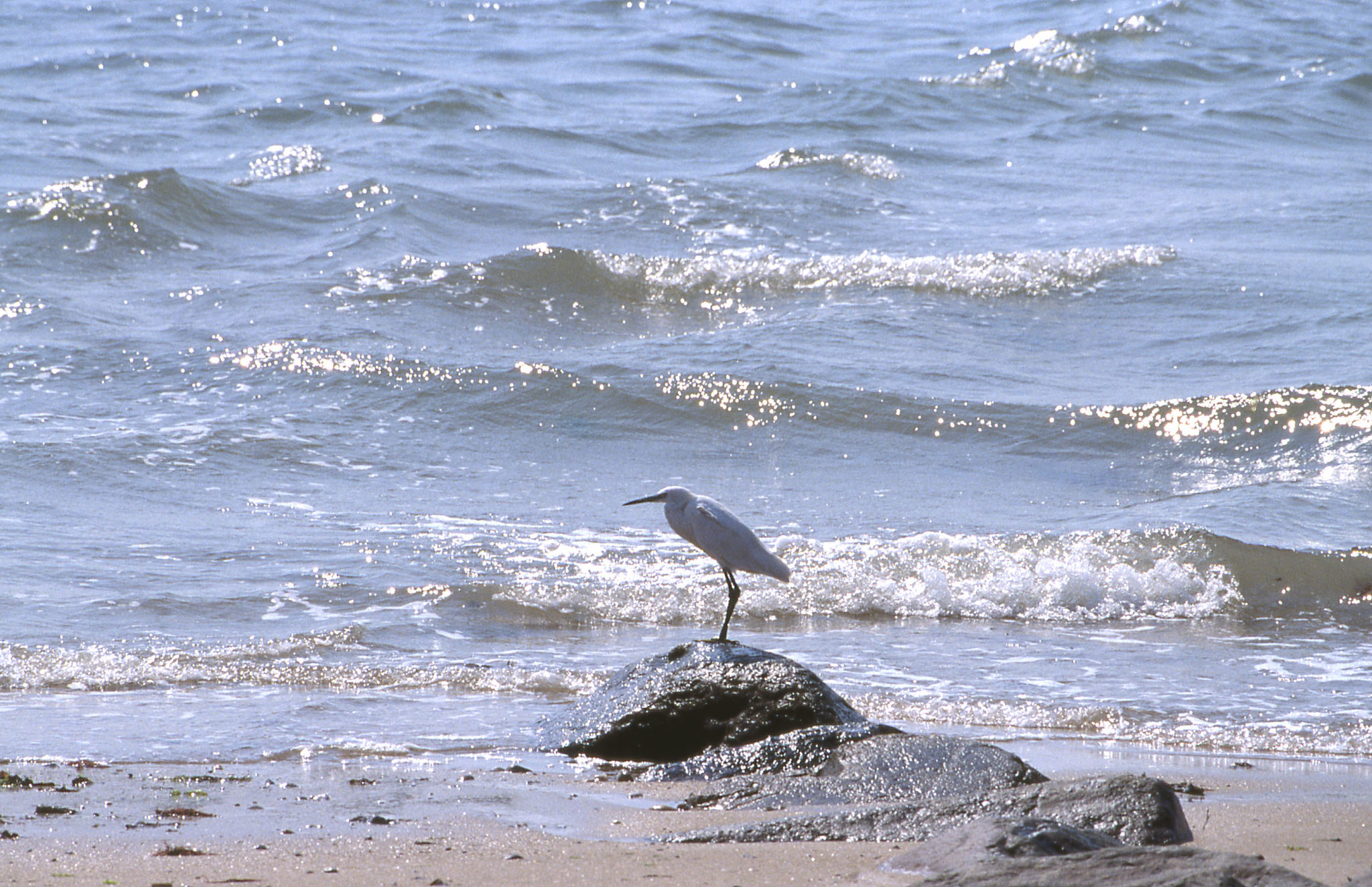 F4FVI/P Noirmoutier Island F4FVI/P Noirmoutier Island