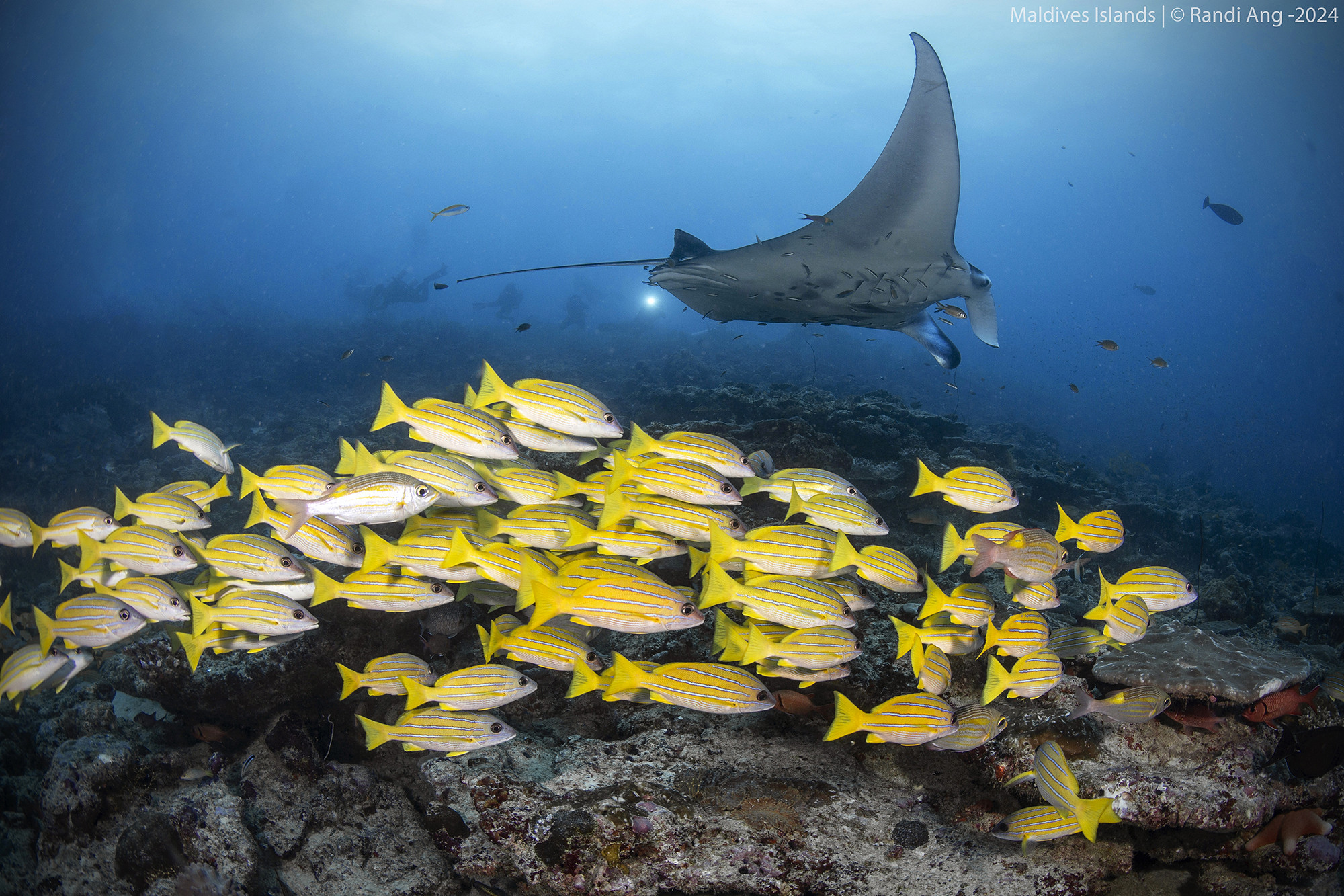 8Q7XF Maldives