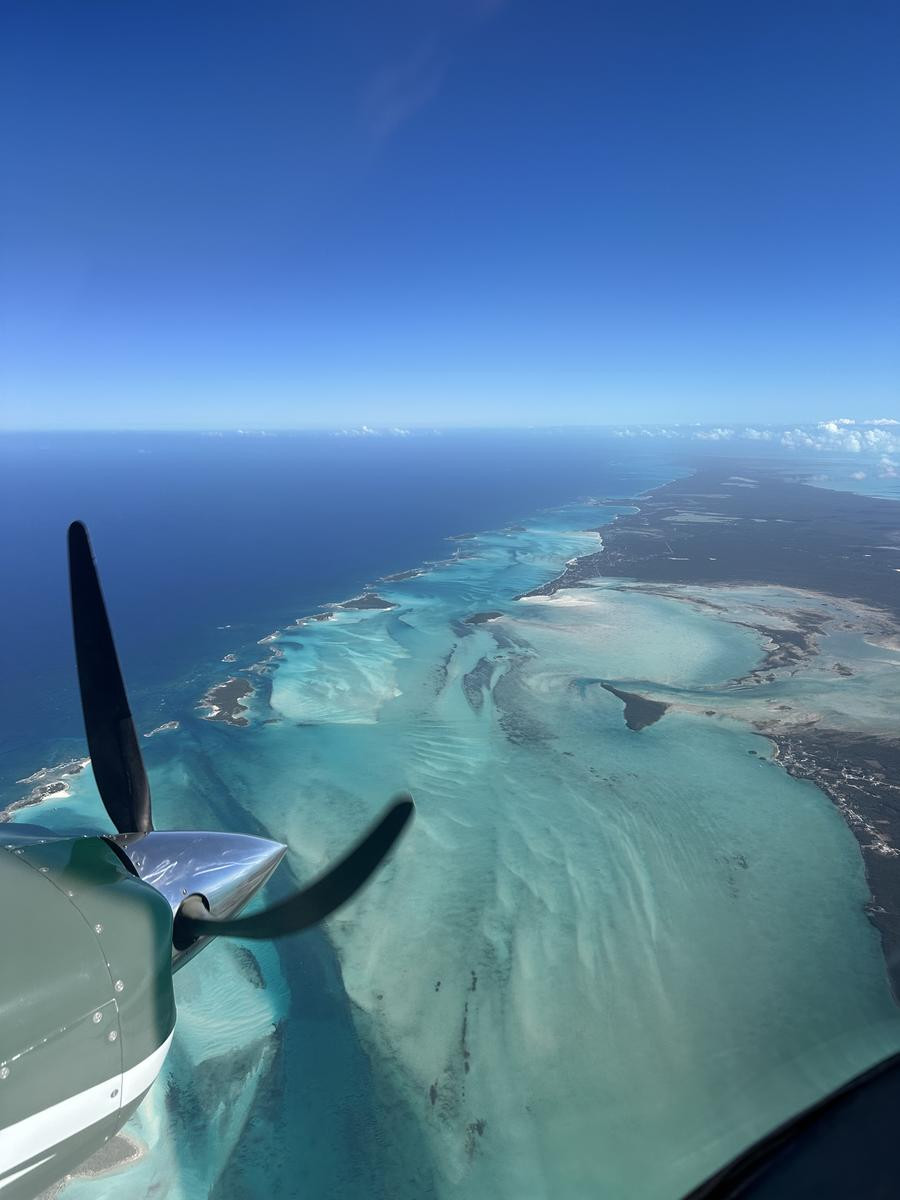 C6ALF Bahamas