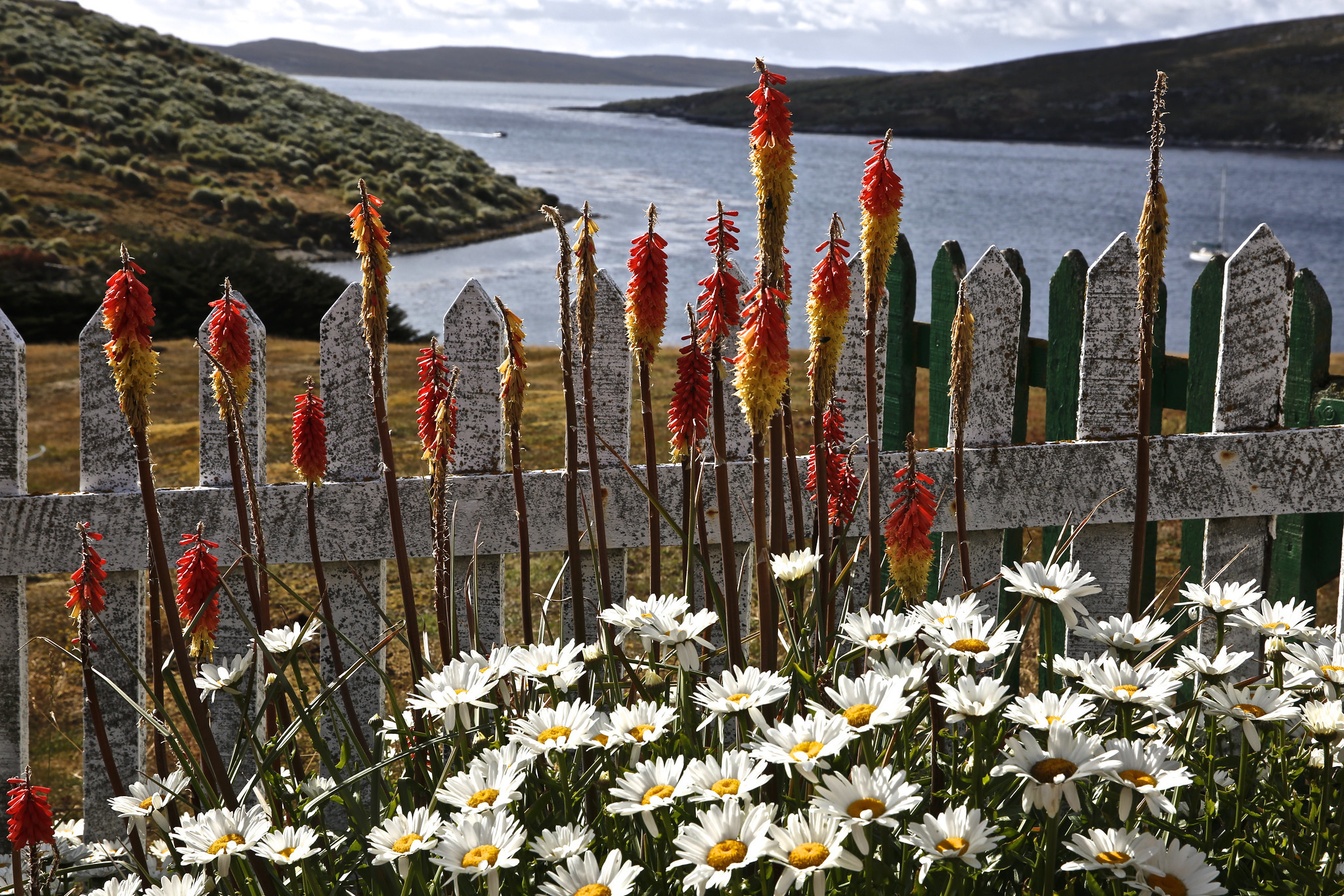 VP8TXF Falkland Islands