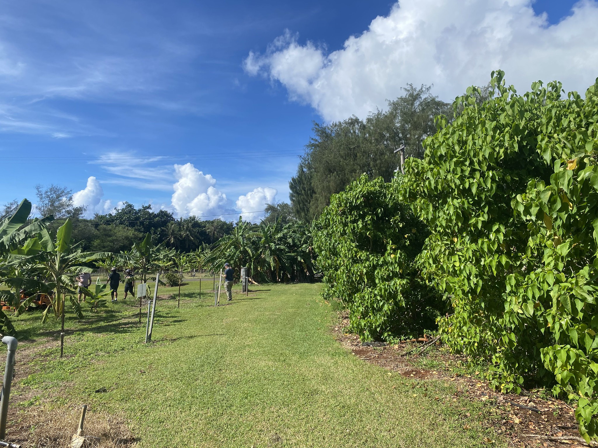 KH2/EA8DBM Guam Island