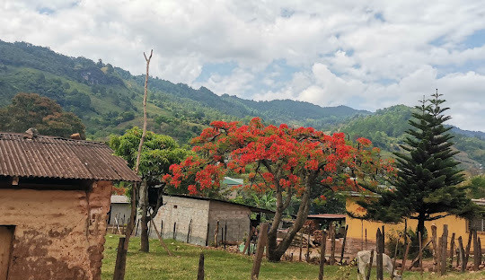 HR3KBS La Union, Honduras