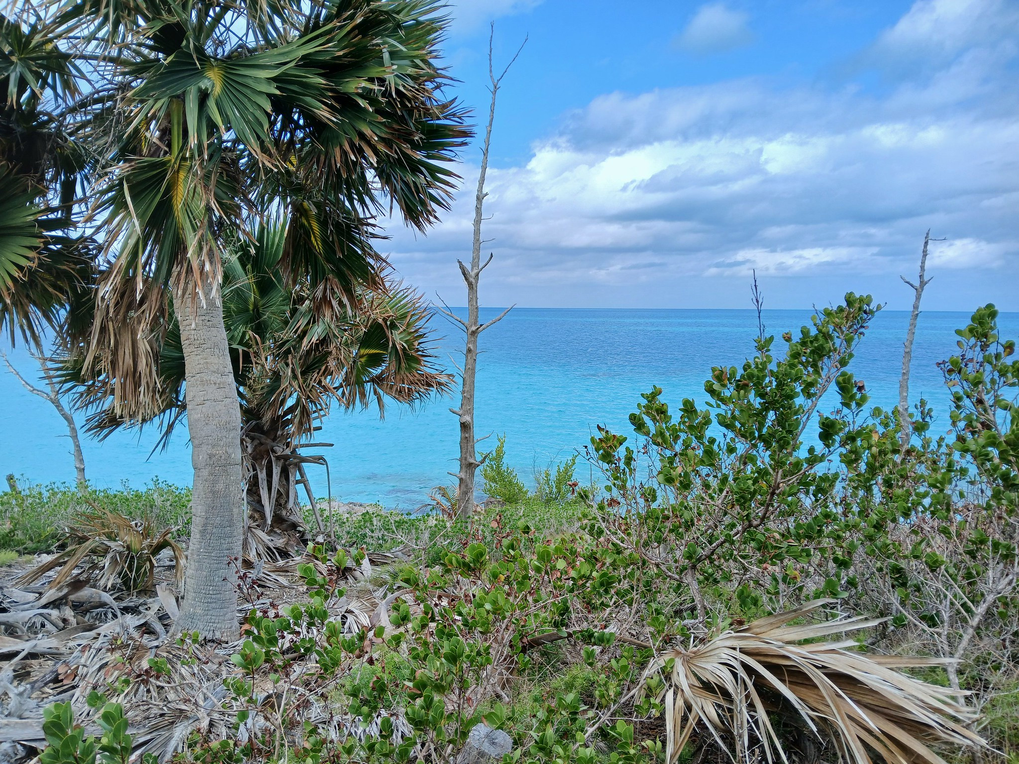 W6CPL/VP9 Bermuda Islands W6CPL/VP9 Bermuda Islands