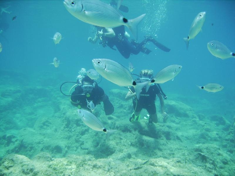 5B/4Z5LA Diving, Cyprus