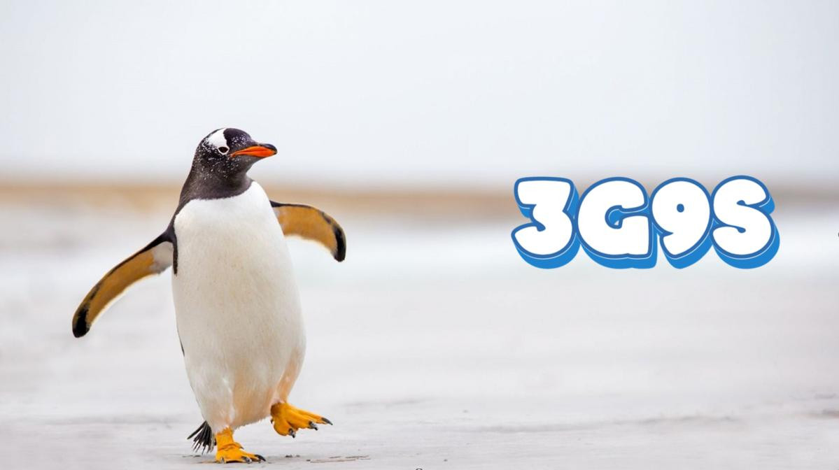 3G9S Navarino Island