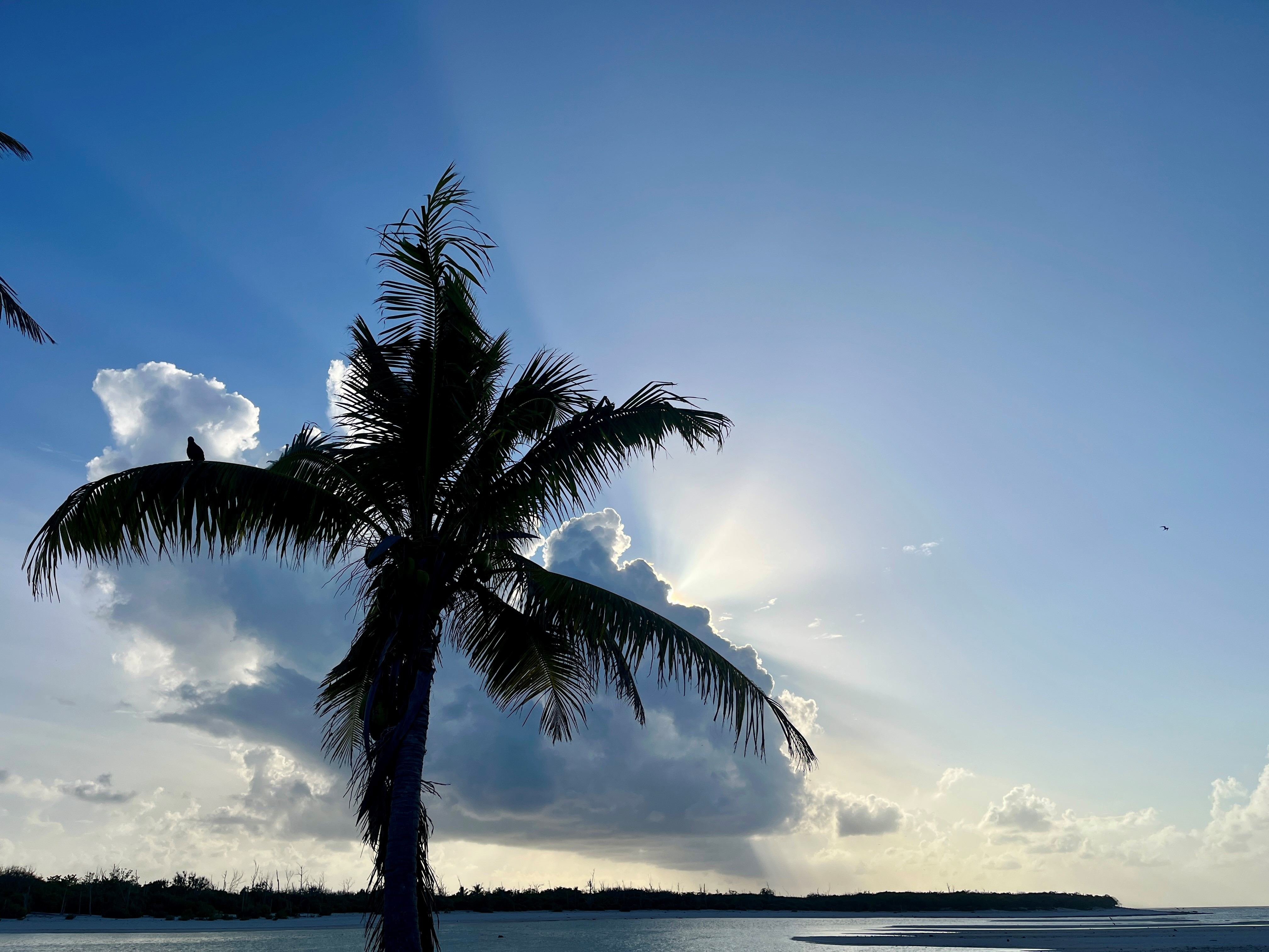KH9/KH7AL Wake Island News 2 July 2025 KH9/KH7AL Wake Island News 2 July 2025