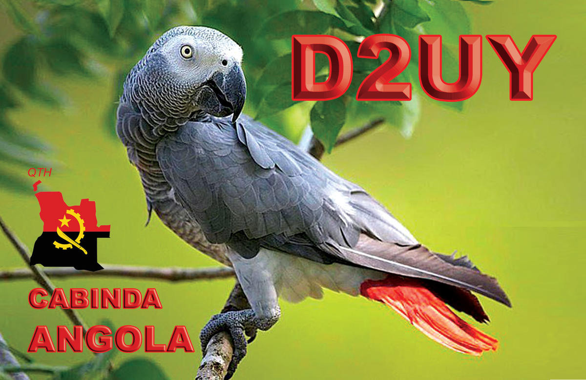 D2UY Cabinda, Angola