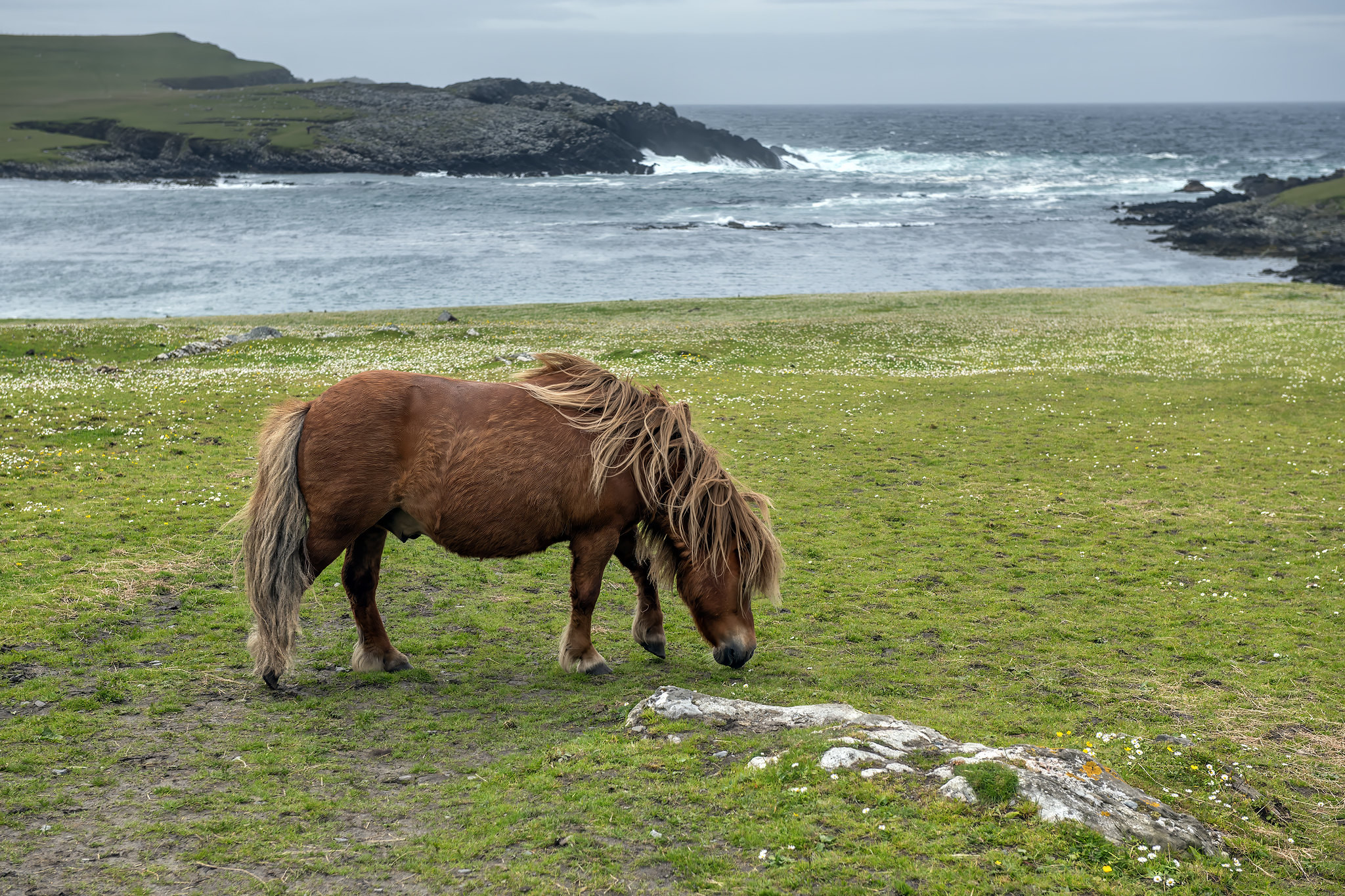 GM4PVM West Burra Island