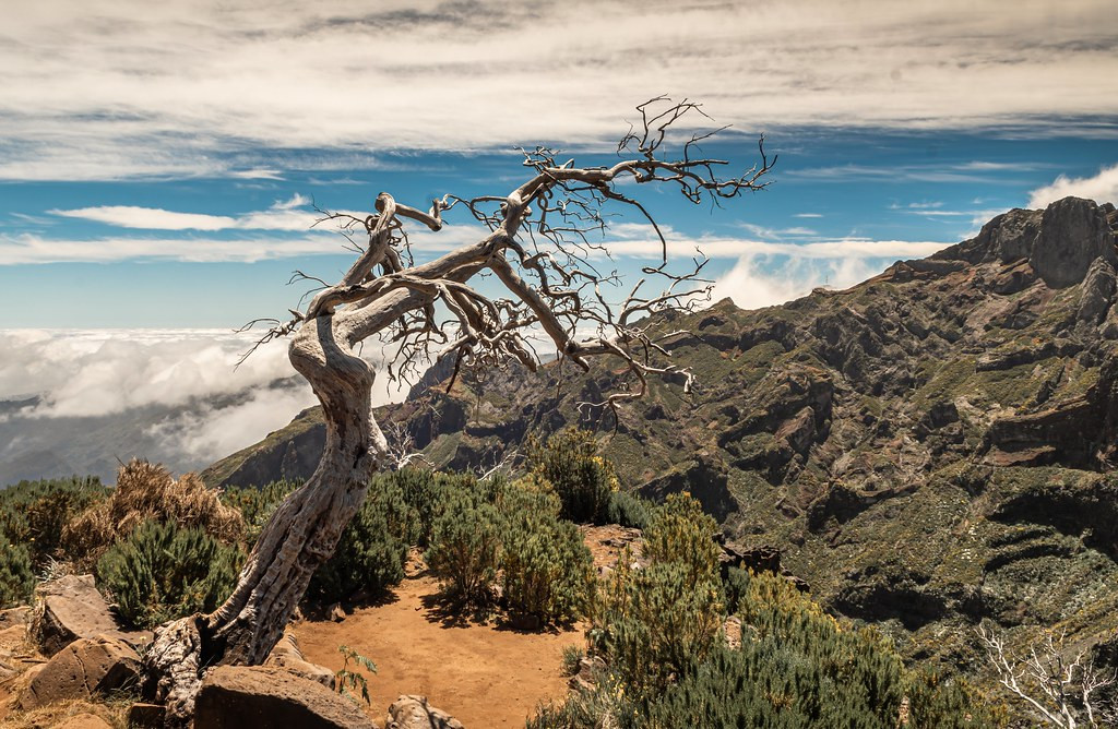 CT9/DL4VK Madeira Island