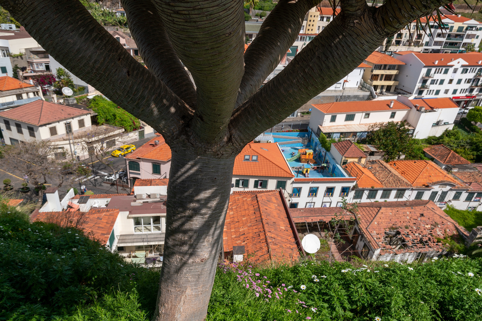 CT9/DL6RY Madeira Island